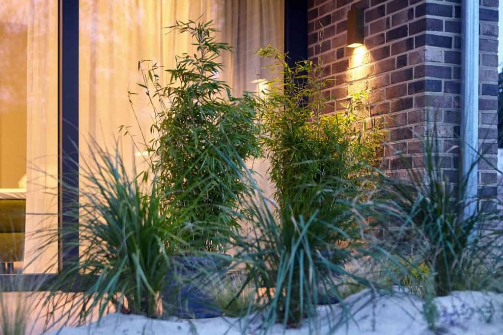 Ferienhaus Einrichtung Bepflanzung Butjapark